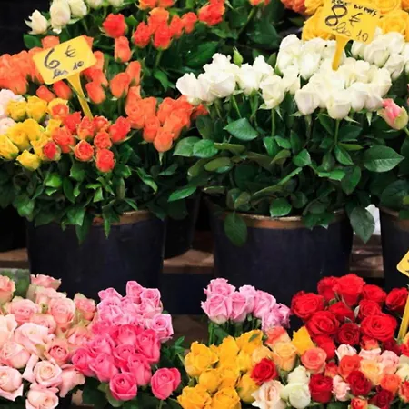 Апартаменты Alessandra